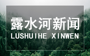 露水新視界，行業(yè)新風(fēng)向 (長春第29屆建博會)精彩回顧